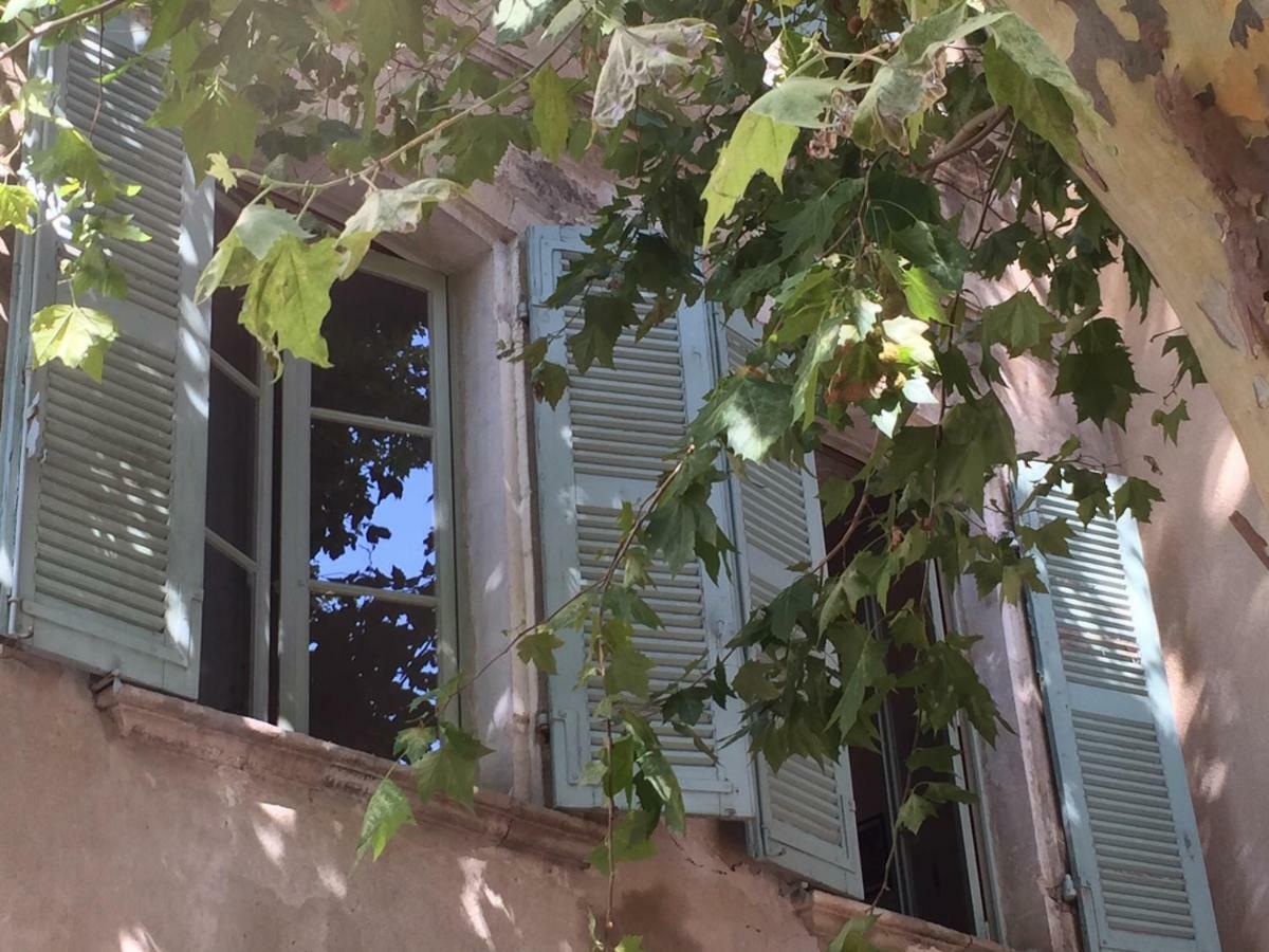 Studio Plaisance Avignon Bagian luar foto